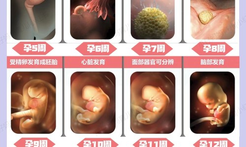 【无痛人流要几个月才能做】无痛人流要几个月才能做 - 无痛人流几个月之内可以做网
