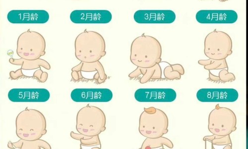 【无痛人流要几个月才能做】无痛人流要几个月才能做 - 无痛人流几个月之内可以做网