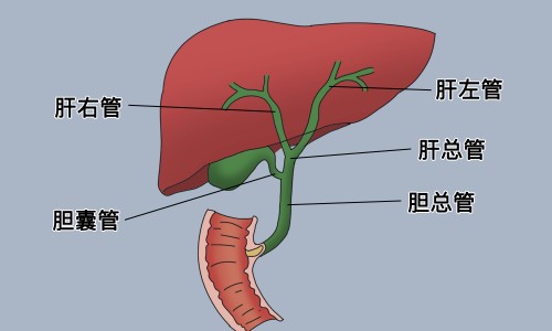 无痛人流最晚不能超过几个月-【无痛人流要几个月才能做】无痛人流要几个月才能做 - 无痛人流几个月之内可以做网